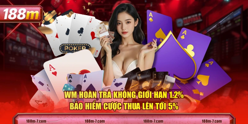 WM hoàn trả không giới hạn 1.2%, bảo hiểm cược thua lên tới 5%